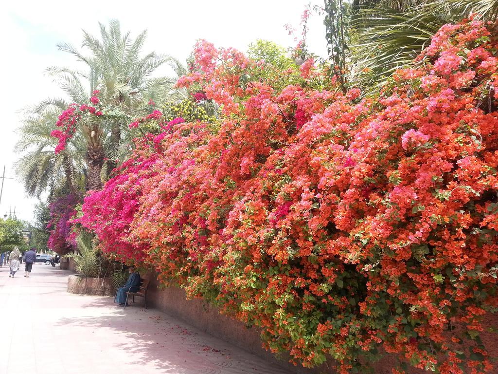 Riad Des Etoiles มาร์ราเกช ภายนอก รูปภาพ